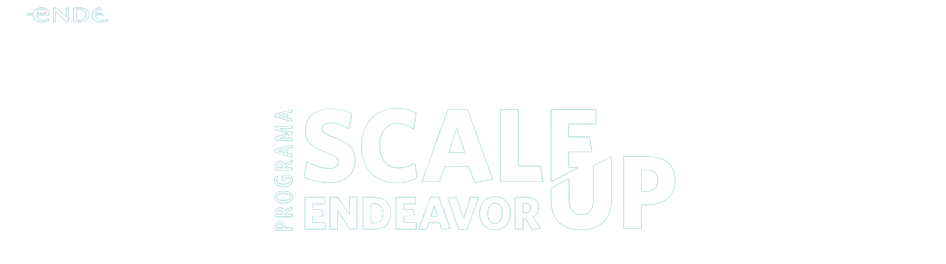 Scale-Up Endeavor